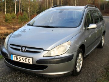 Peugeot 307 1,6